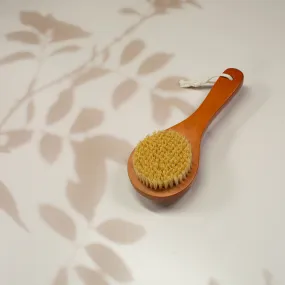 8" Plant Bristled Body Brush