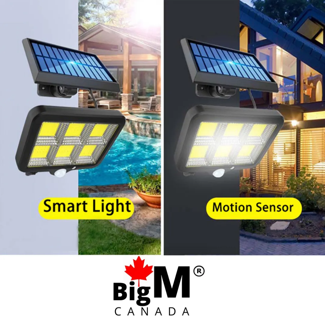 BigM 1000 Lumens LED Solar Motion Sensor Light & 10 Ft Extension Cable