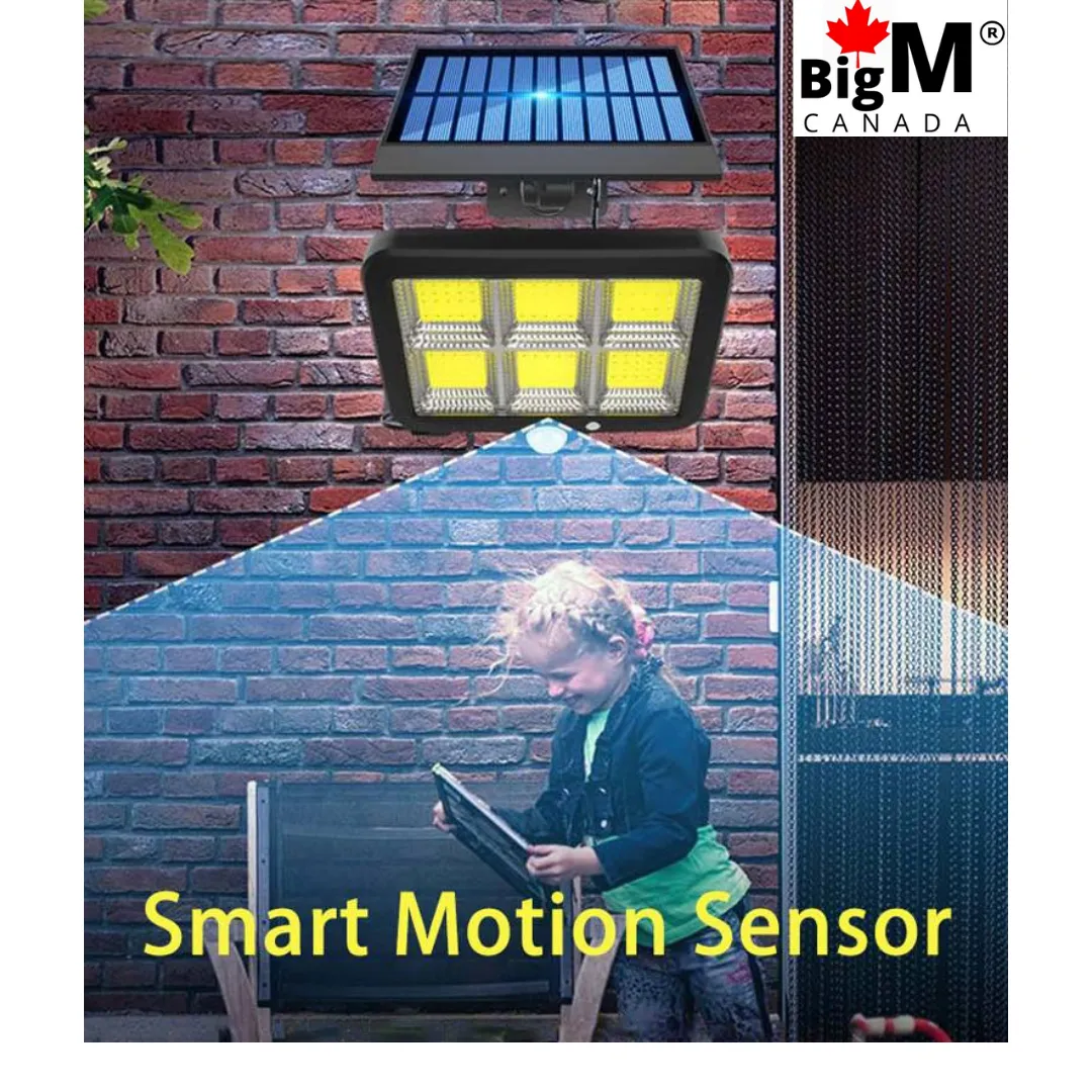 BigM 1000 Lumens LED Solar Motion Sensor Light & 10 Ft Extension Cable