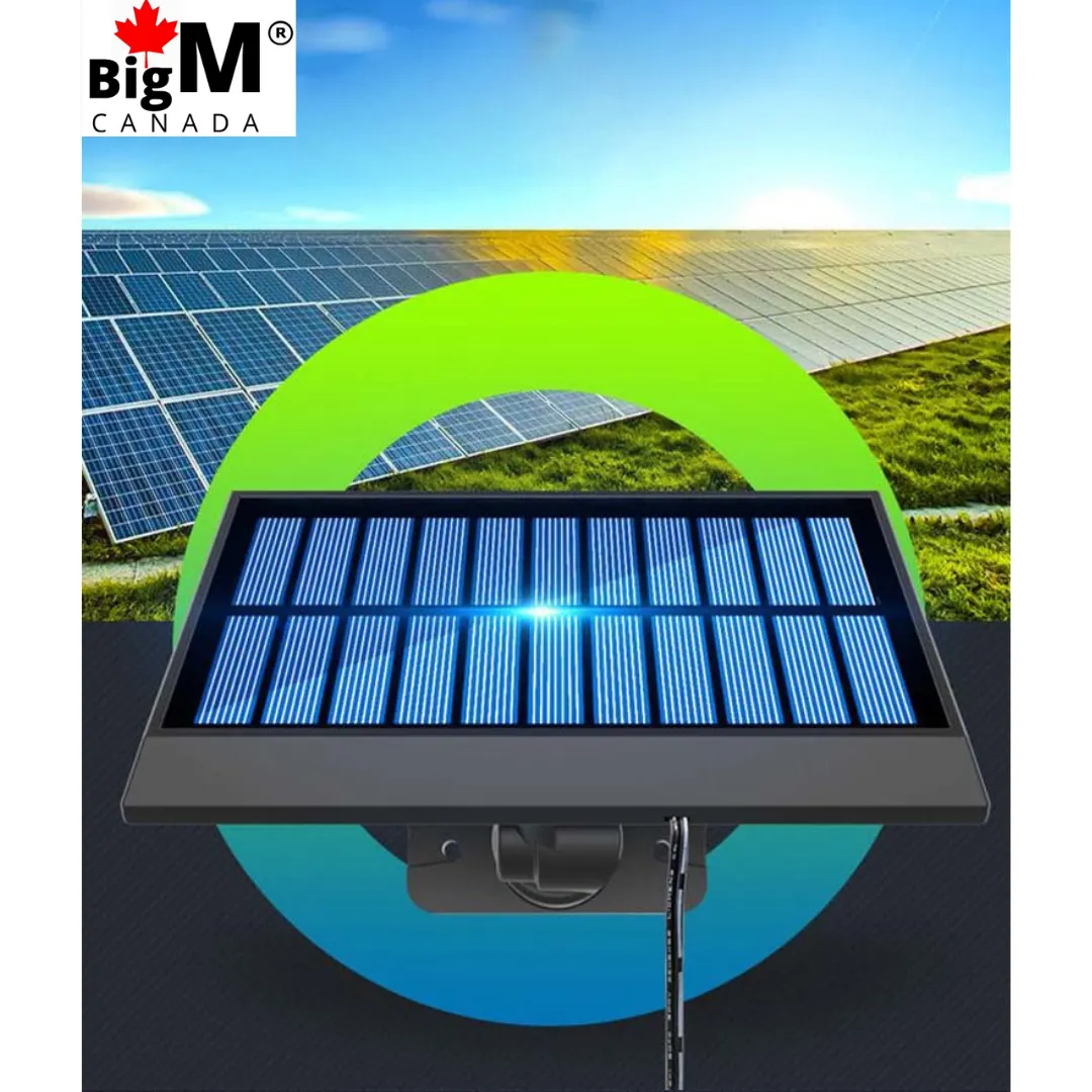 BigM 1000 Lumens LED Solar Motion Sensor Light & 10 Ft Extension Cable