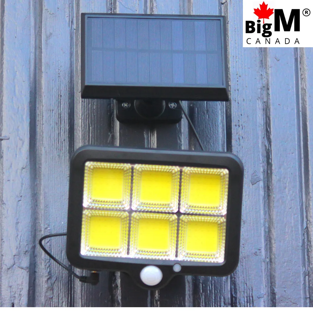 BigM 1000 Lumens LED Solar Motion Sensor Light & 10 Ft Extension Cable