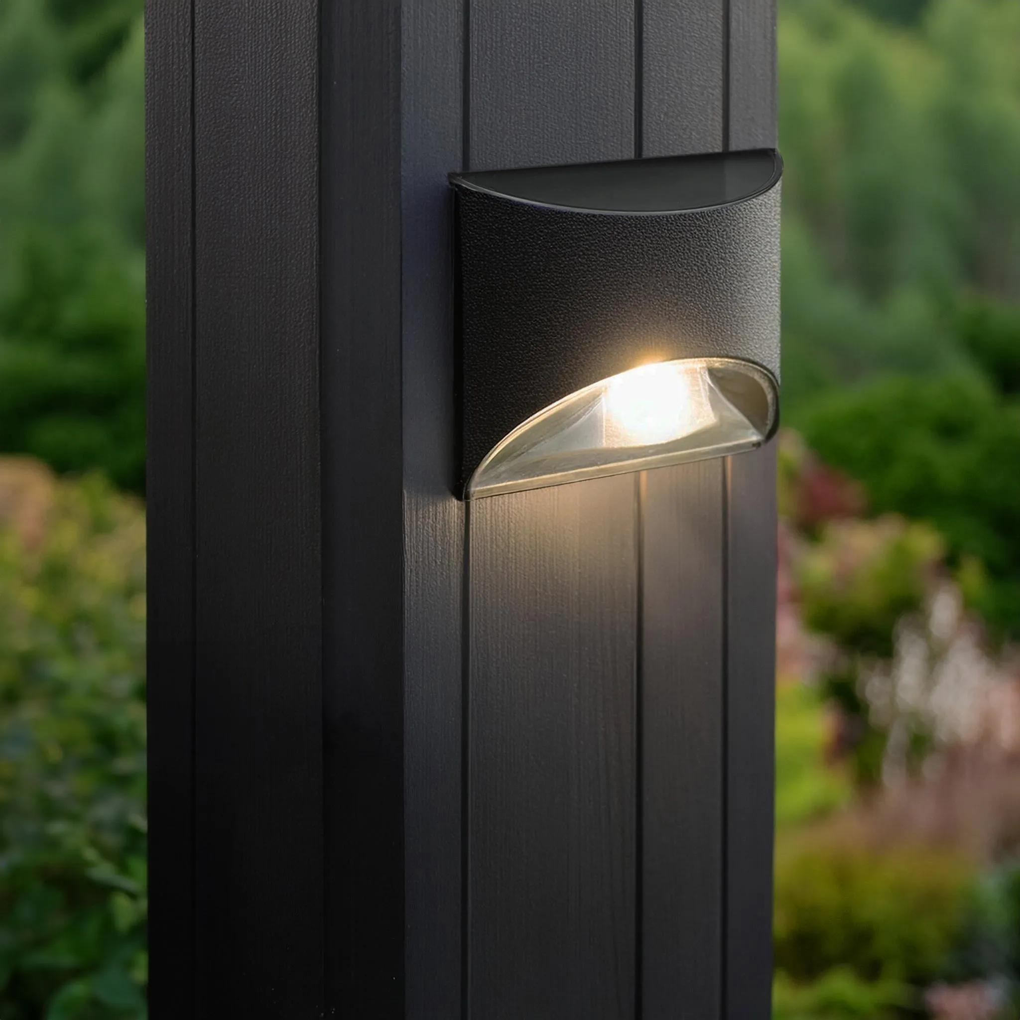 Black Stainless Steel Deck & Wall Light