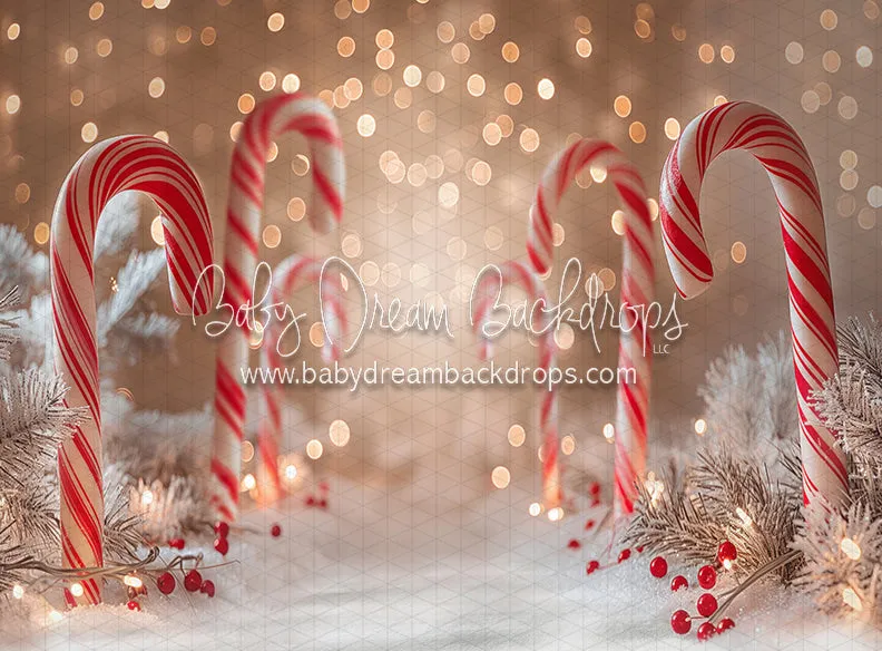 Candy Cane Bokeh Lane (JA)