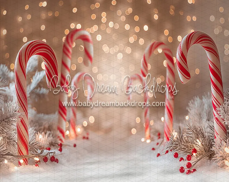 Candy Cane Bokeh Lane (JA)