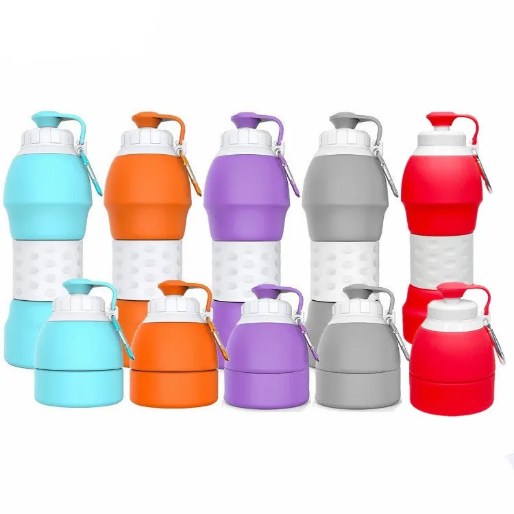 Collapsible Sports and Travel Bottle