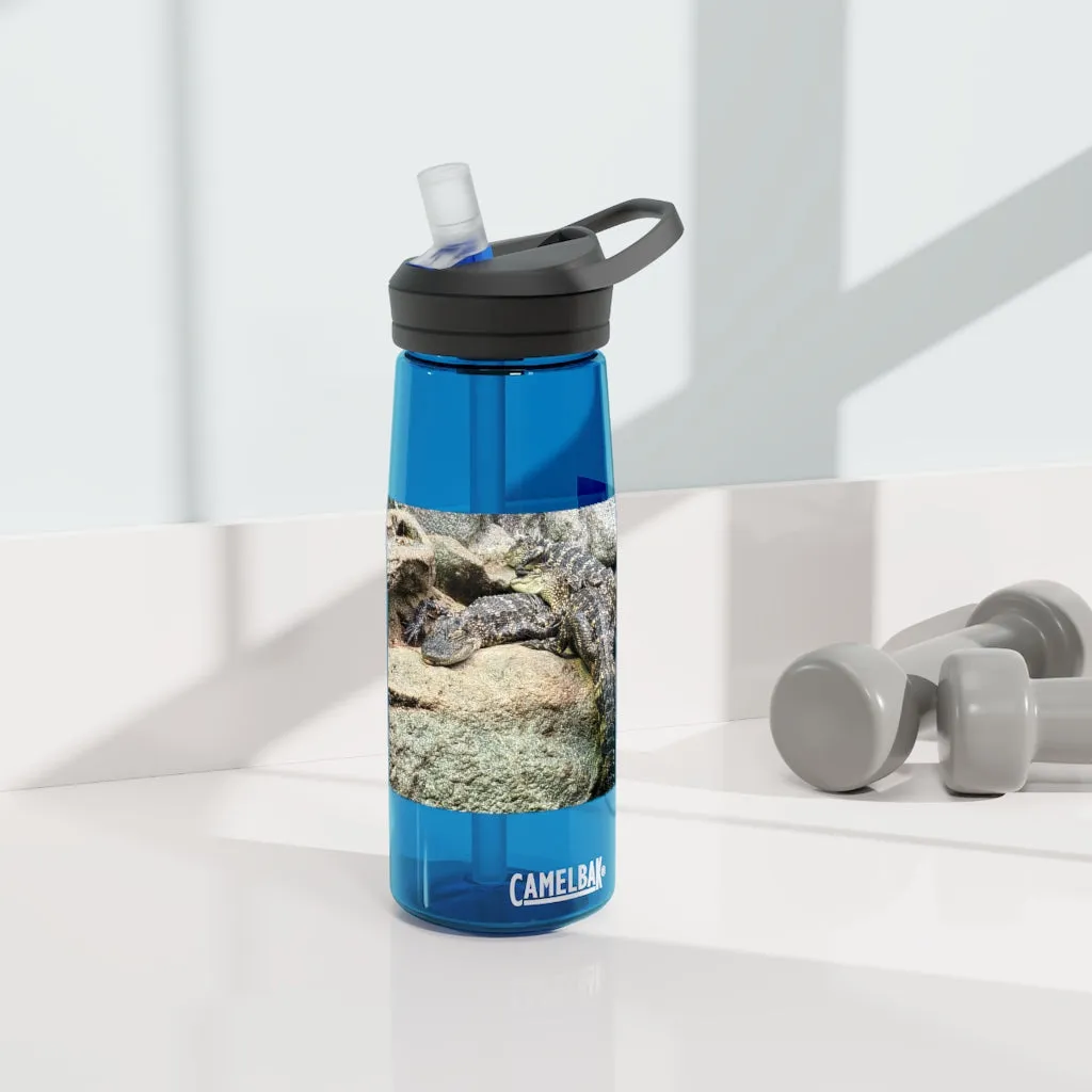 Crocodiles CamelBak Eddy®  Water Bottle, 20oz / 25oz