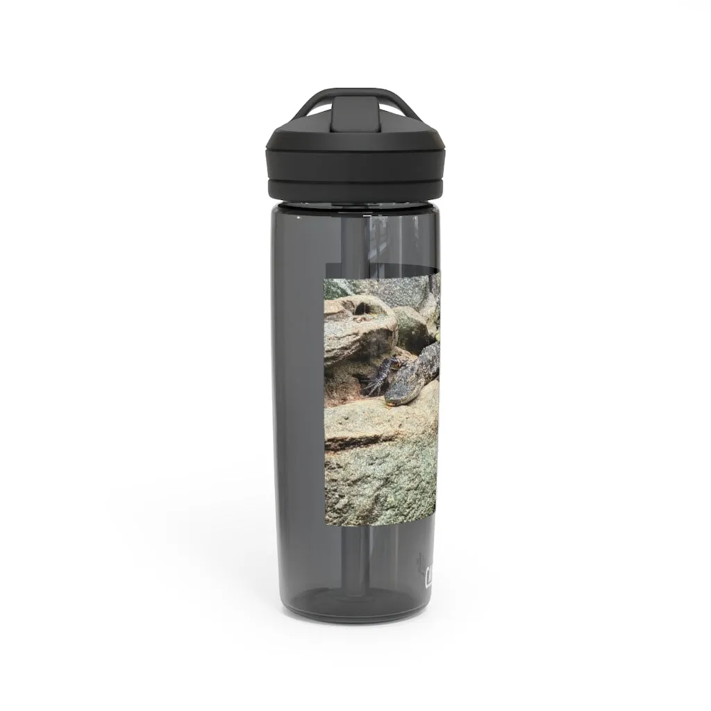 Crocodiles CamelBak Eddy®  Water Bottle, 20oz / 25oz