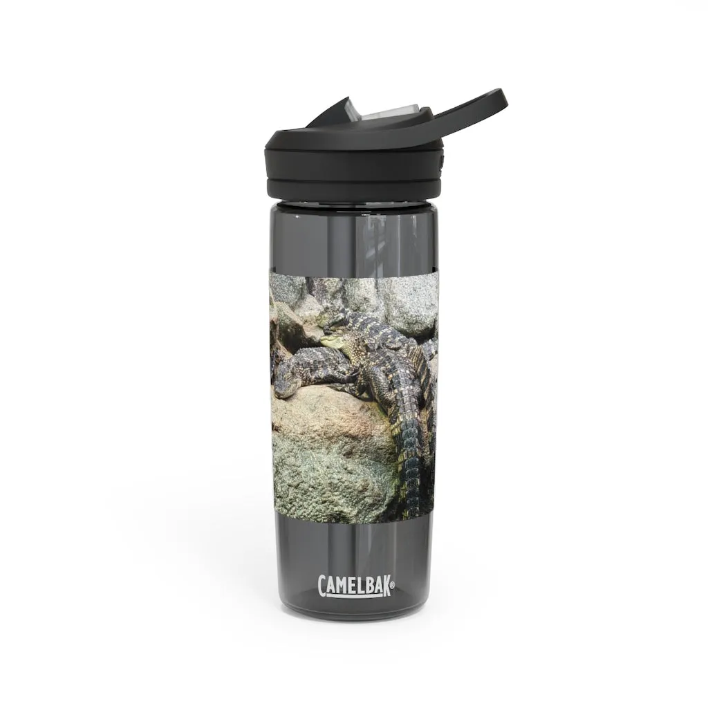 Crocodiles CamelBak Eddy®  Water Bottle, 20oz / 25oz