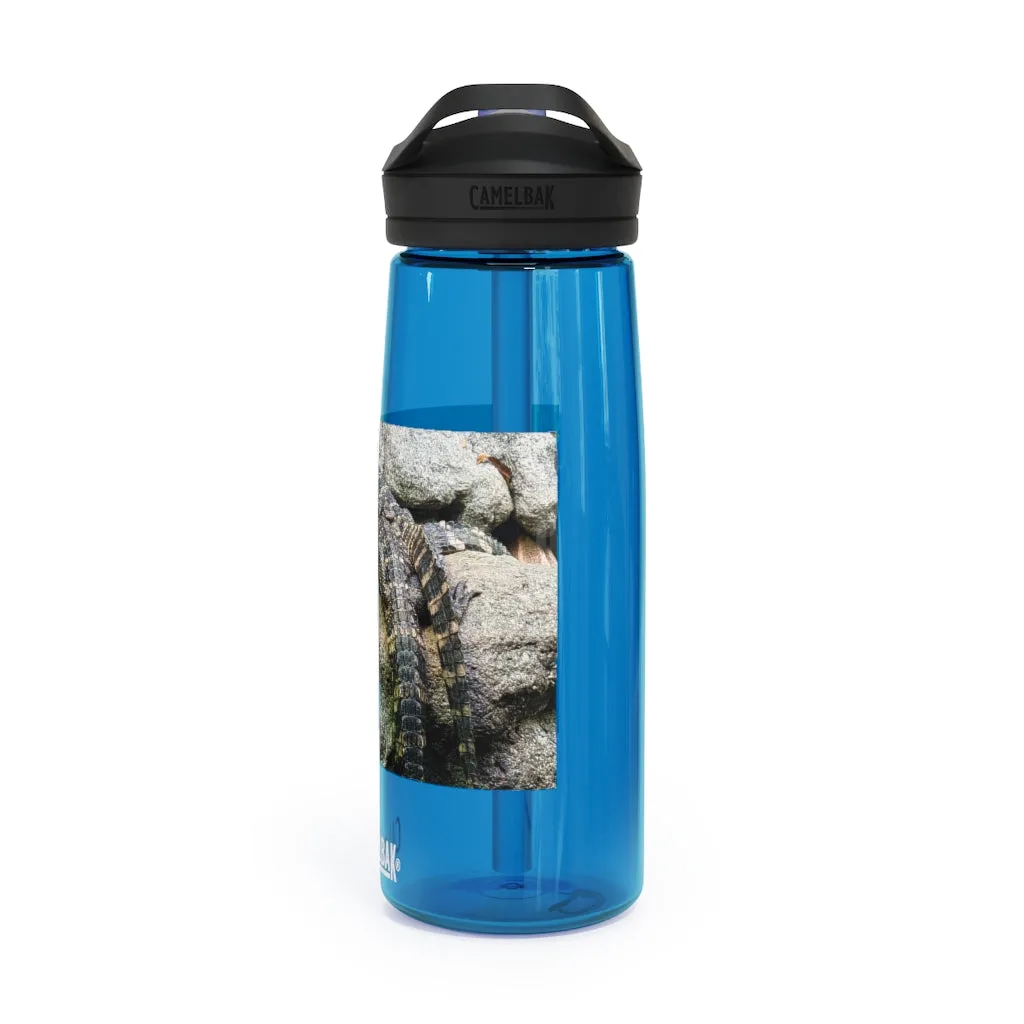 Crocodiles CamelBak Eddy®  Water Bottle, 20oz / 25oz