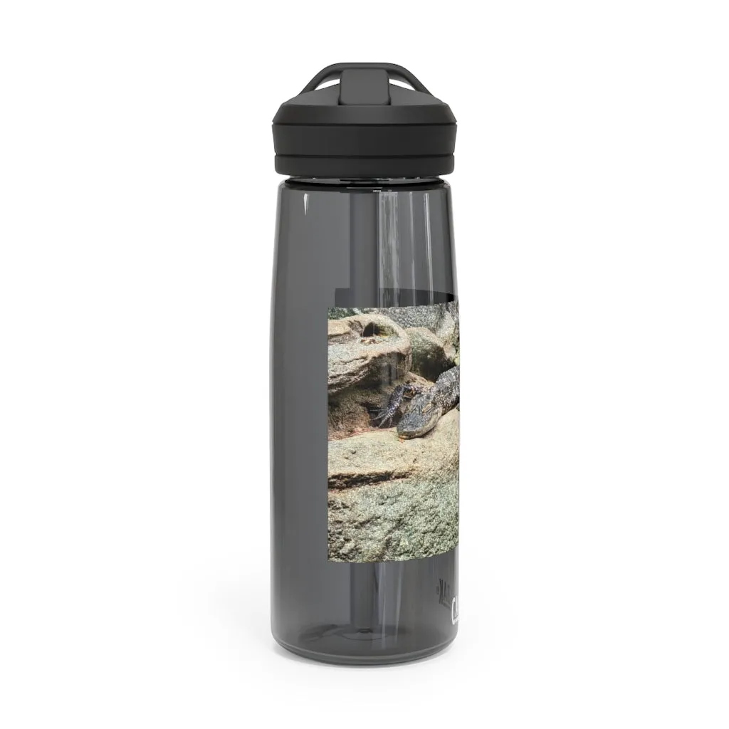 Crocodiles CamelBak Eddy®  Water Bottle, 20oz / 25oz