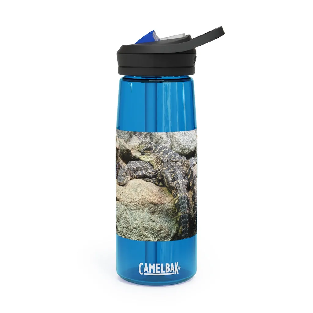 Crocodiles CamelBak Eddy®  Water Bottle, 20oz / 25oz