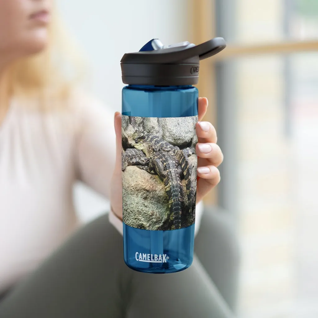 Crocodiles CamelBak Eddy®  Water Bottle, 20oz / 25oz