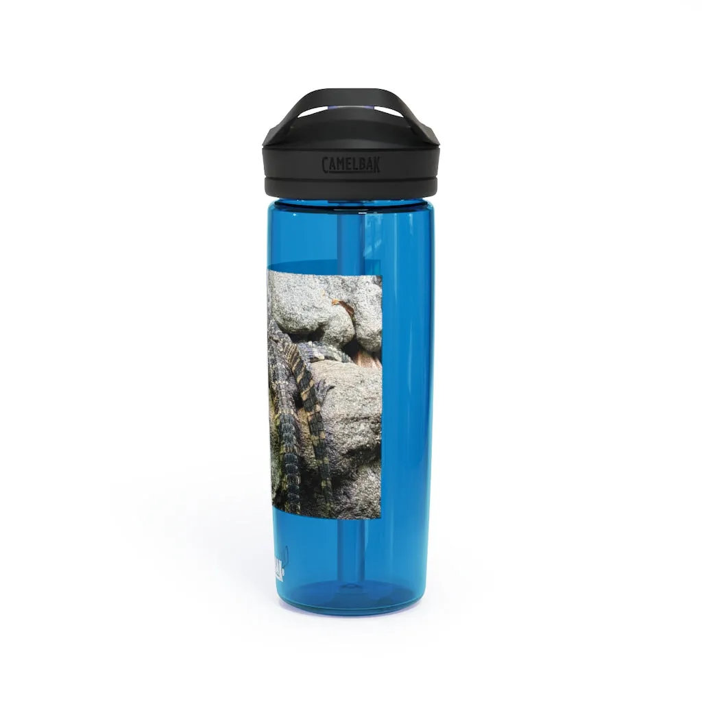 Crocodiles CamelBak Eddy®  Water Bottle, 20oz / 25oz