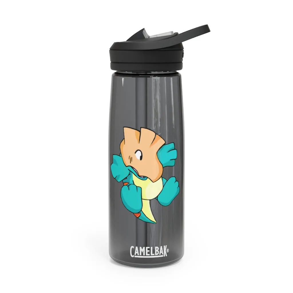 Dogat CamelBak Eddy®  Water Bottle, 20oz / 25oz