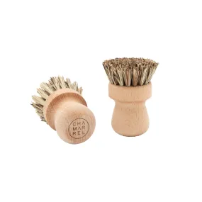 Ecological Pan Brush