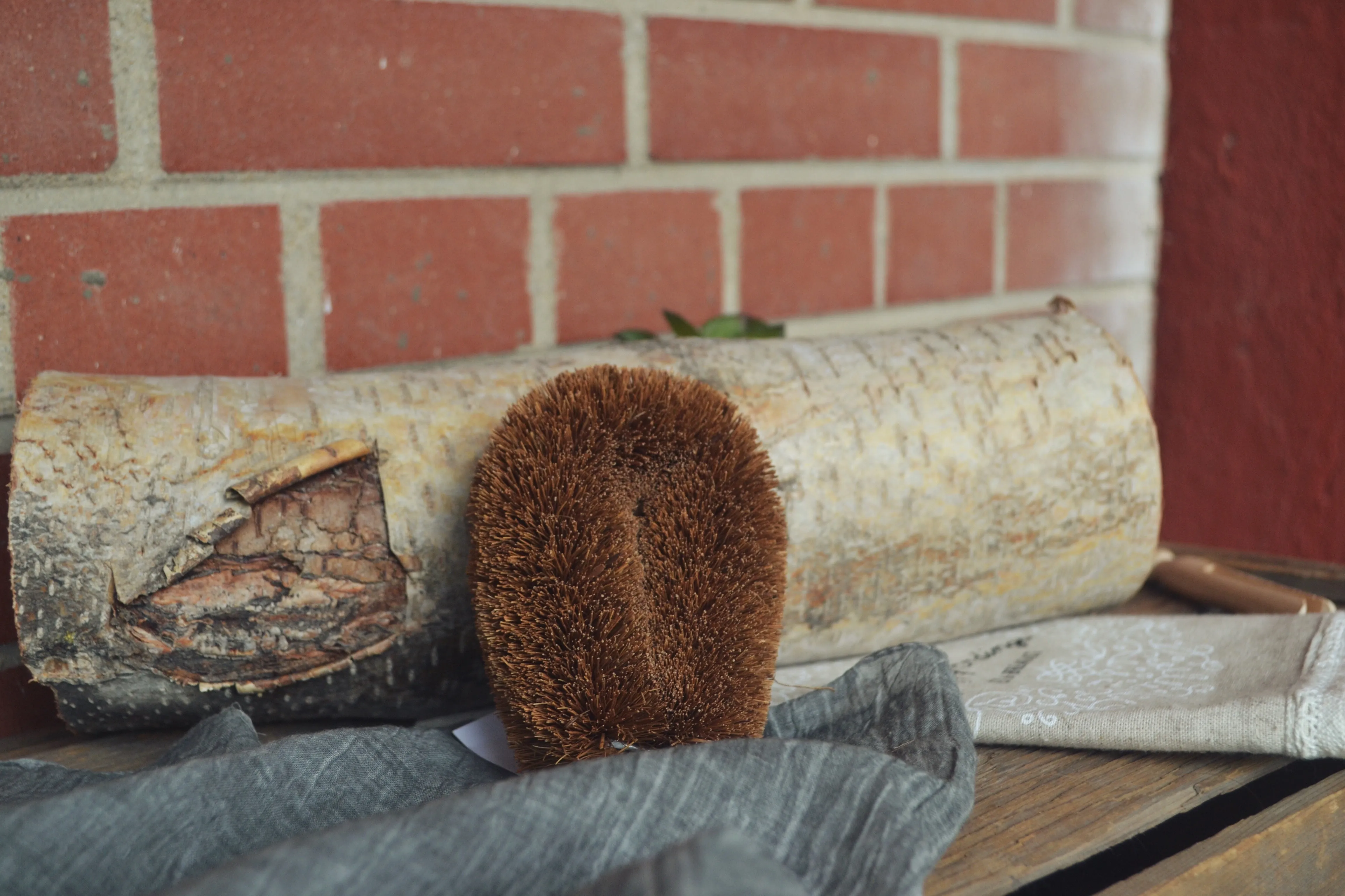 European Vegetable Brush