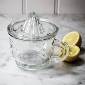 Glass Juicer With Measuring Jug