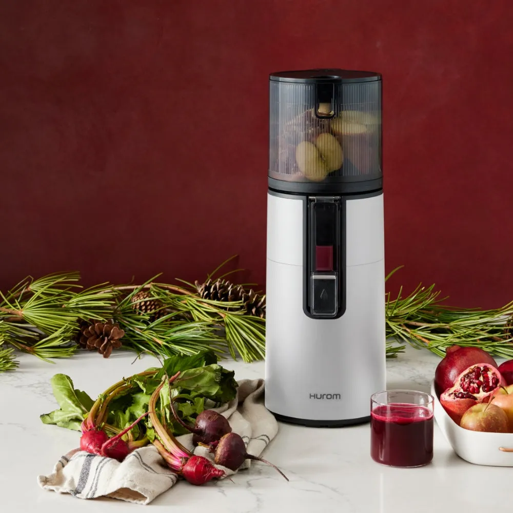 H400 Easy Clean Slow Juicer