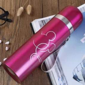 Insulated Flask