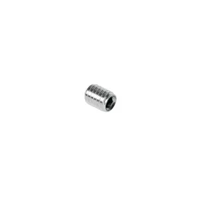 Santos Screw HC M 6 X 8 - AG233