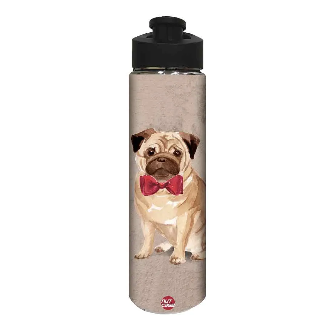 Stainless Steel Water Bottle -  Cute Bulldog