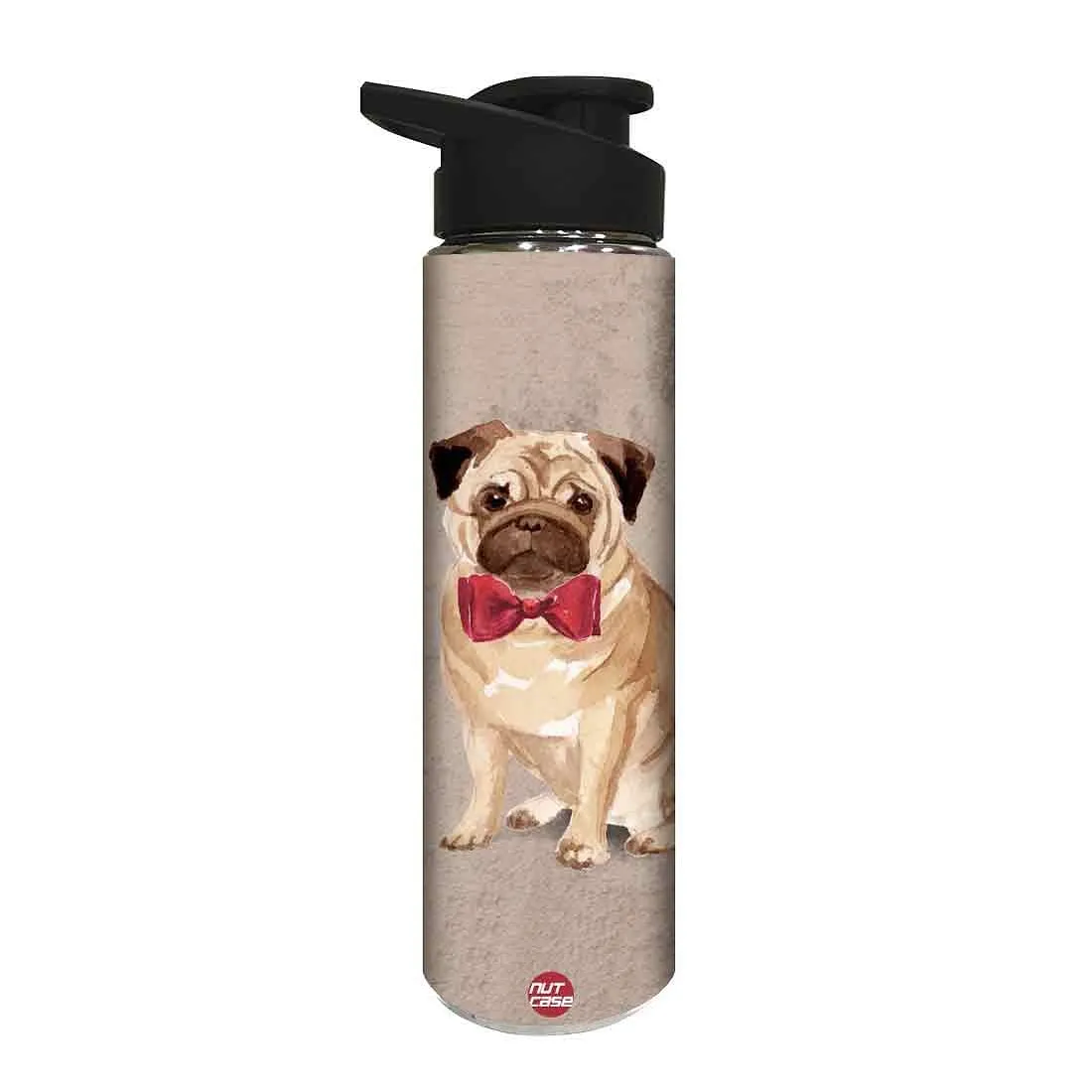 Stainless Steel Water Bottle -  Cute Bulldog