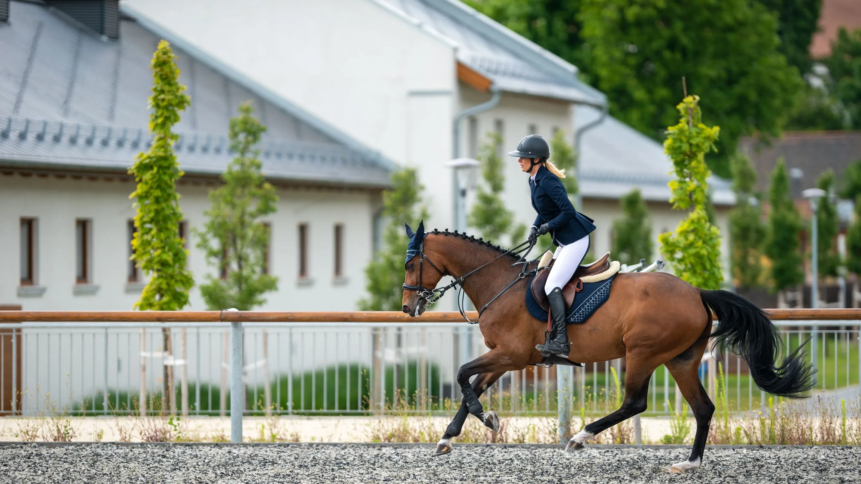 Women´s Riding Show Jacket Rose Gold Purity