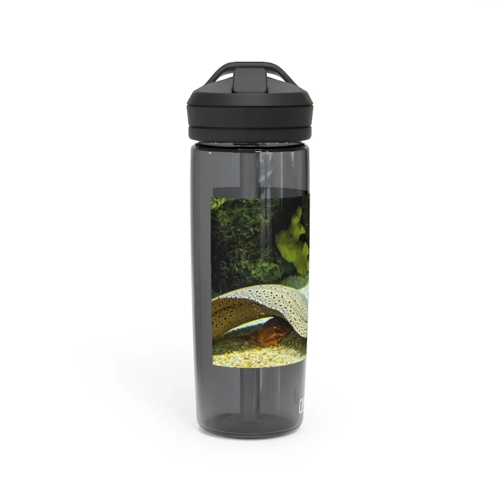 Yellow Eel CamelBak Eddy®  Water Bottle, 20oz\25oz