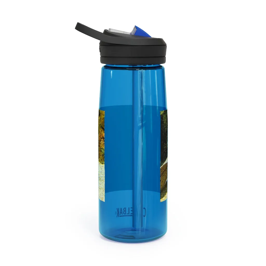 Yellow Eel CamelBak Eddy®  Water Bottle, 20oz\25oz