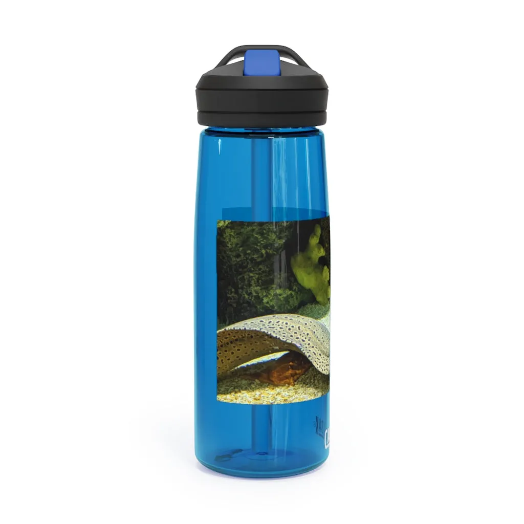 Yellow Eel CamelBak Eddy®  Water Bottle, 20oz\25oz